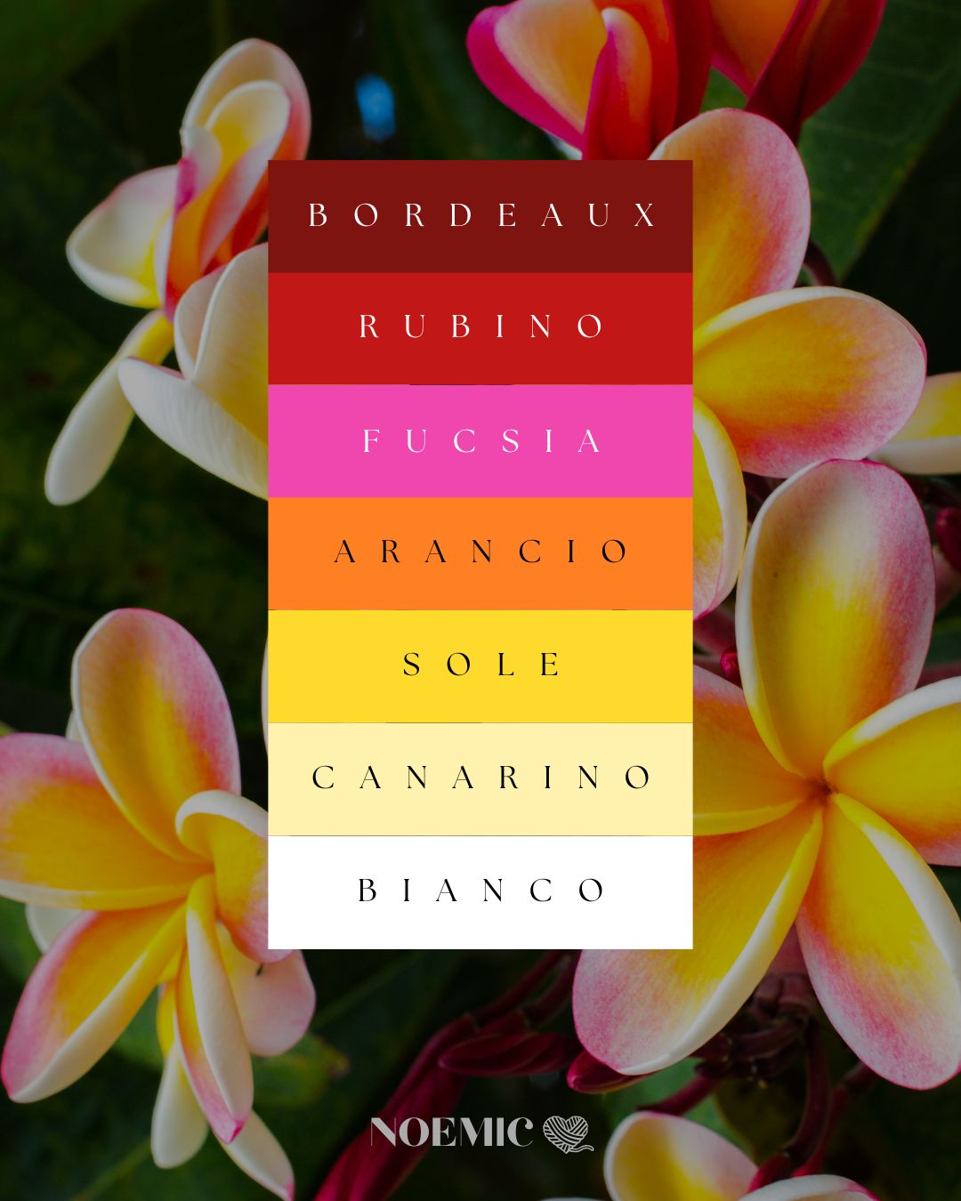 Cappellino Honolulu (nuovo 2026!)