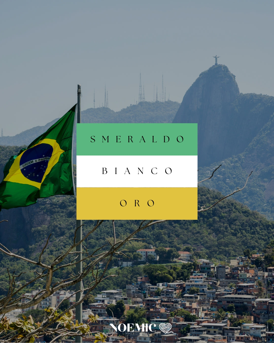 Bikini Rio De Janeiro